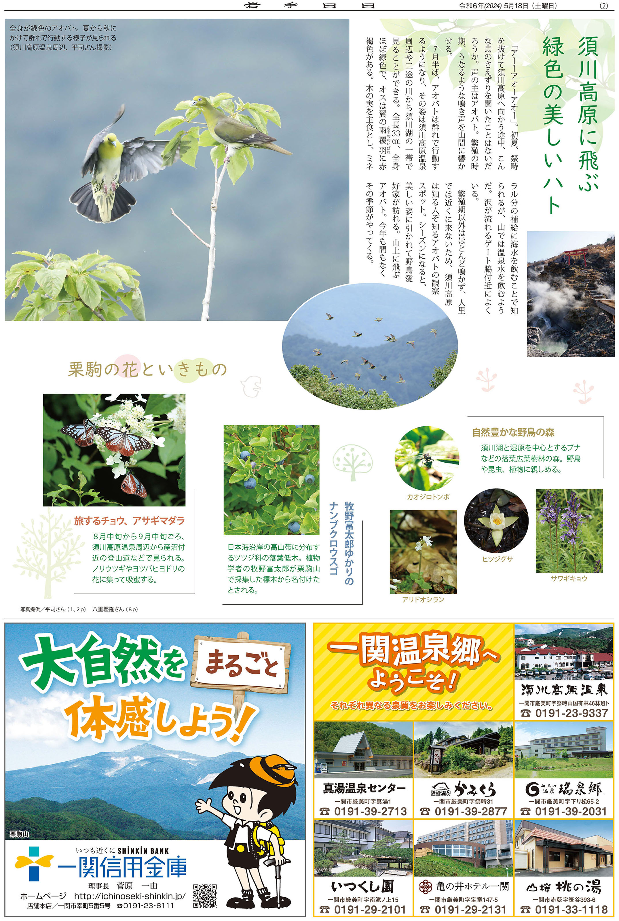 栗駒国定公園観光ガイド2024