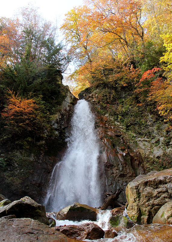 【岩手山】粧う七滝。ロープを伝って展望地から滝つぼに降り、赤や黄色の葉に縁取られた飛瀑（ひばく）に見入りました（２０１８年10月19日撮影）