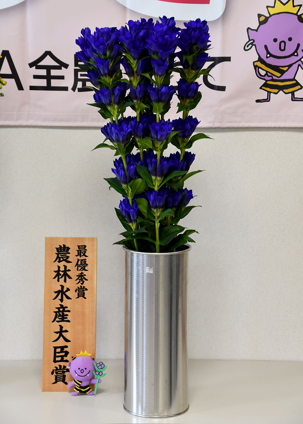 リンドウ 安代の輝き 三浦さん 八幡平 最優秀 いわてフラワーコンテスト 北上 Iwanichi Online 岩手日日新聞社