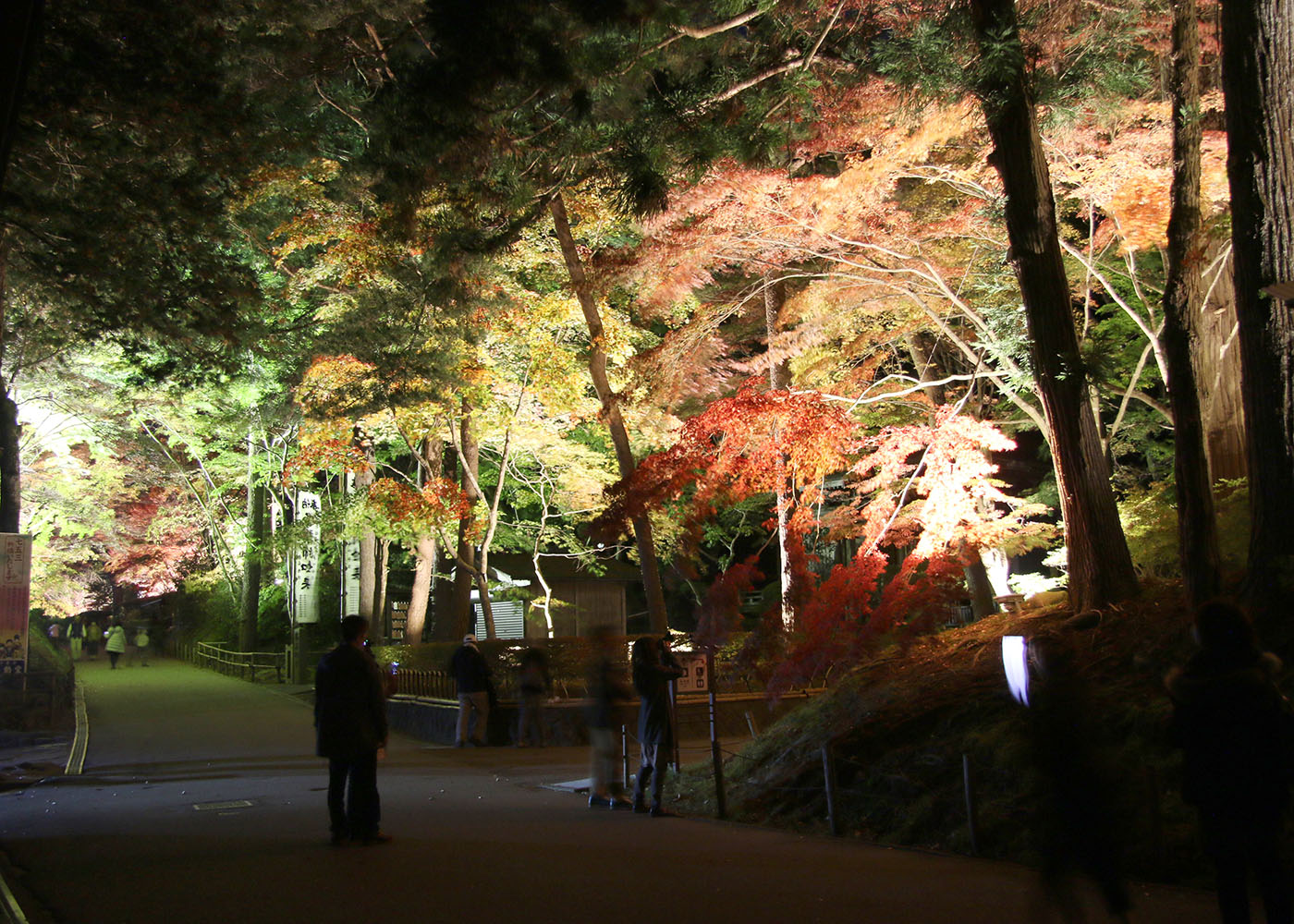 秋の夜彩る錦の銀河 中尊寺 平泉 Iwanichi Online 岩手日日新聞社 秋の夜彩る錦の銀河 中尊寺 平泉 Iwanichi Online 岩手日日新聞社