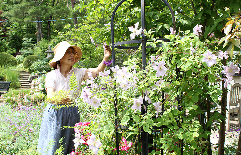 初夏の庭 クレマチス輝く 及川さんのヒロガーデン 奥州 Iwanichi Online 岩手日日新聞社