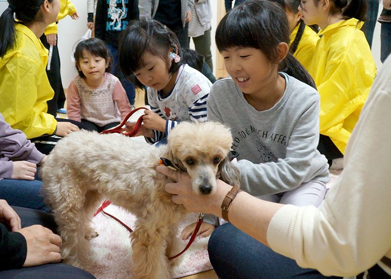 犬 と 触れ合える 岩手