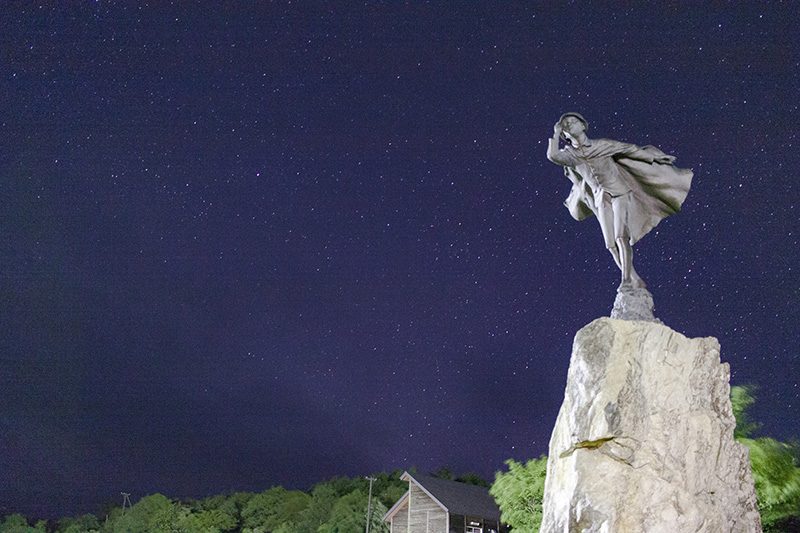 種山高原星座の森