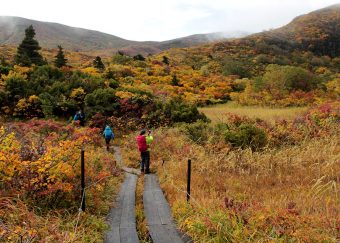 栗駒山　紅葉が進んだ名残ケ原。赤、黄、緑が織り成す美しさで「神の絨毯」と呼ばれています
