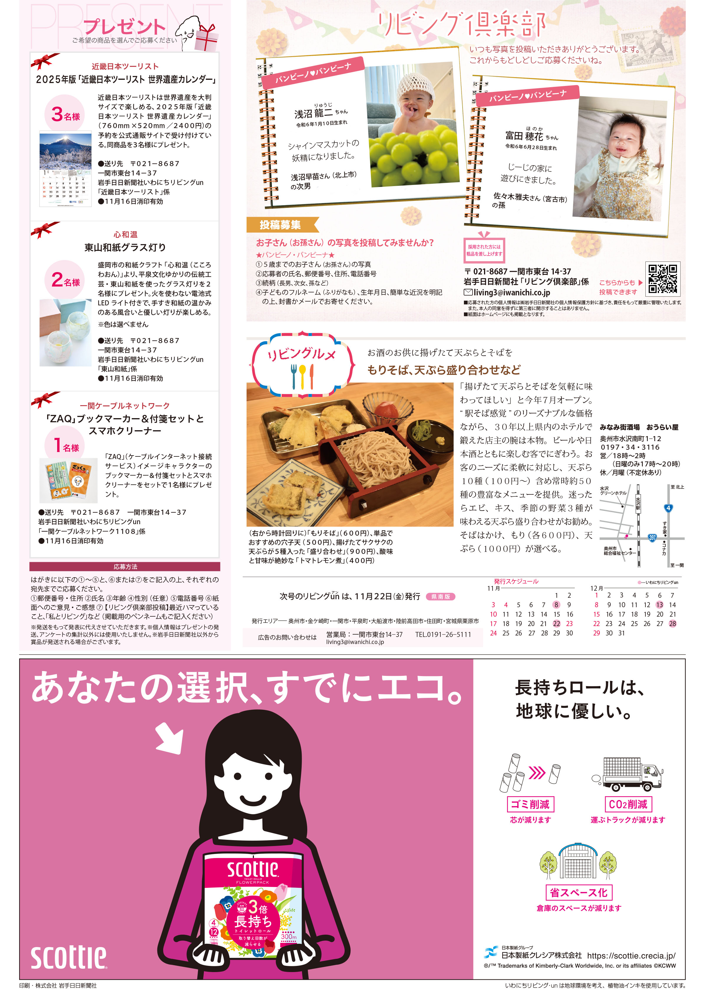 2024年11月8日号