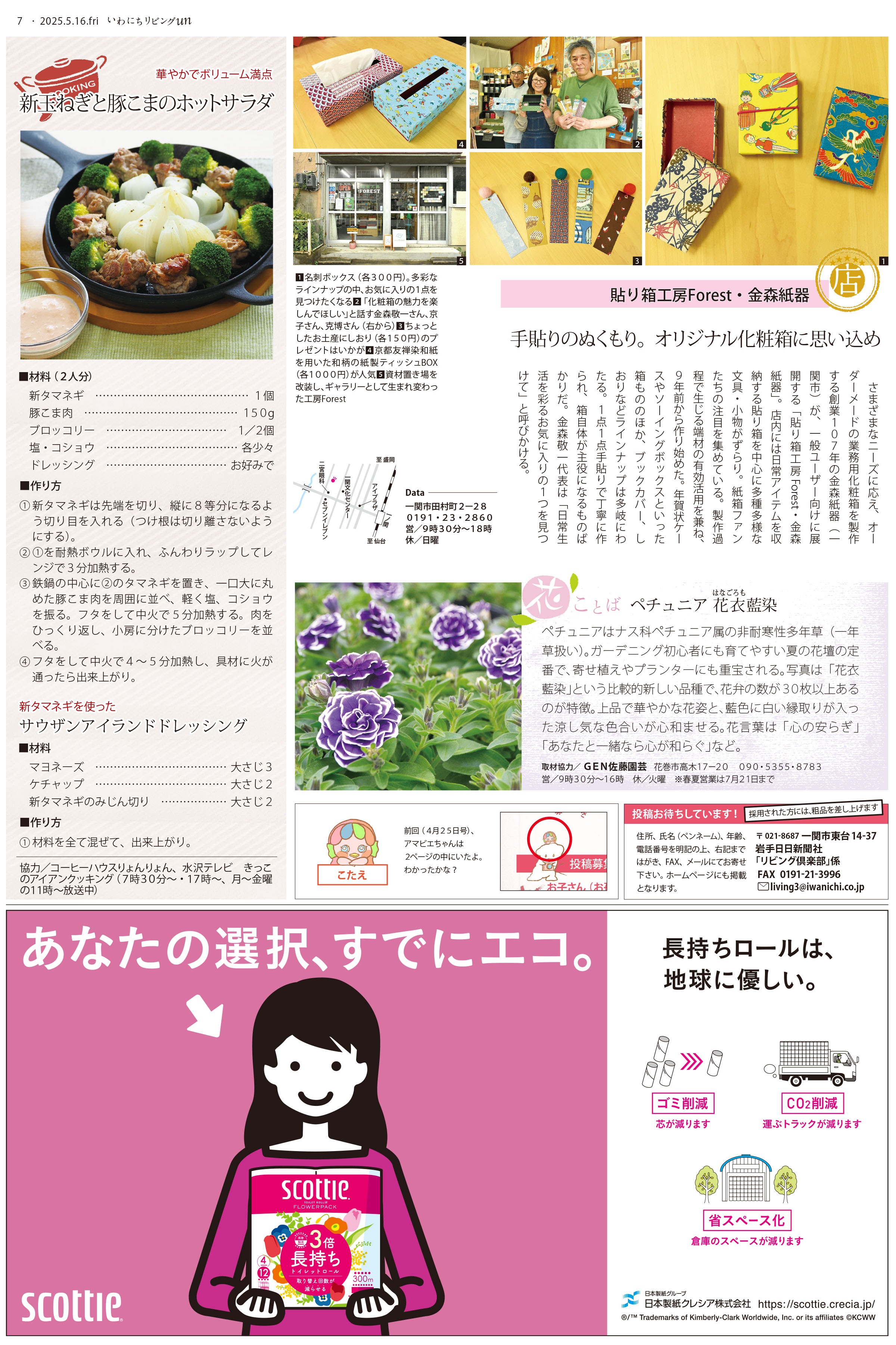 2025年5月16日号
