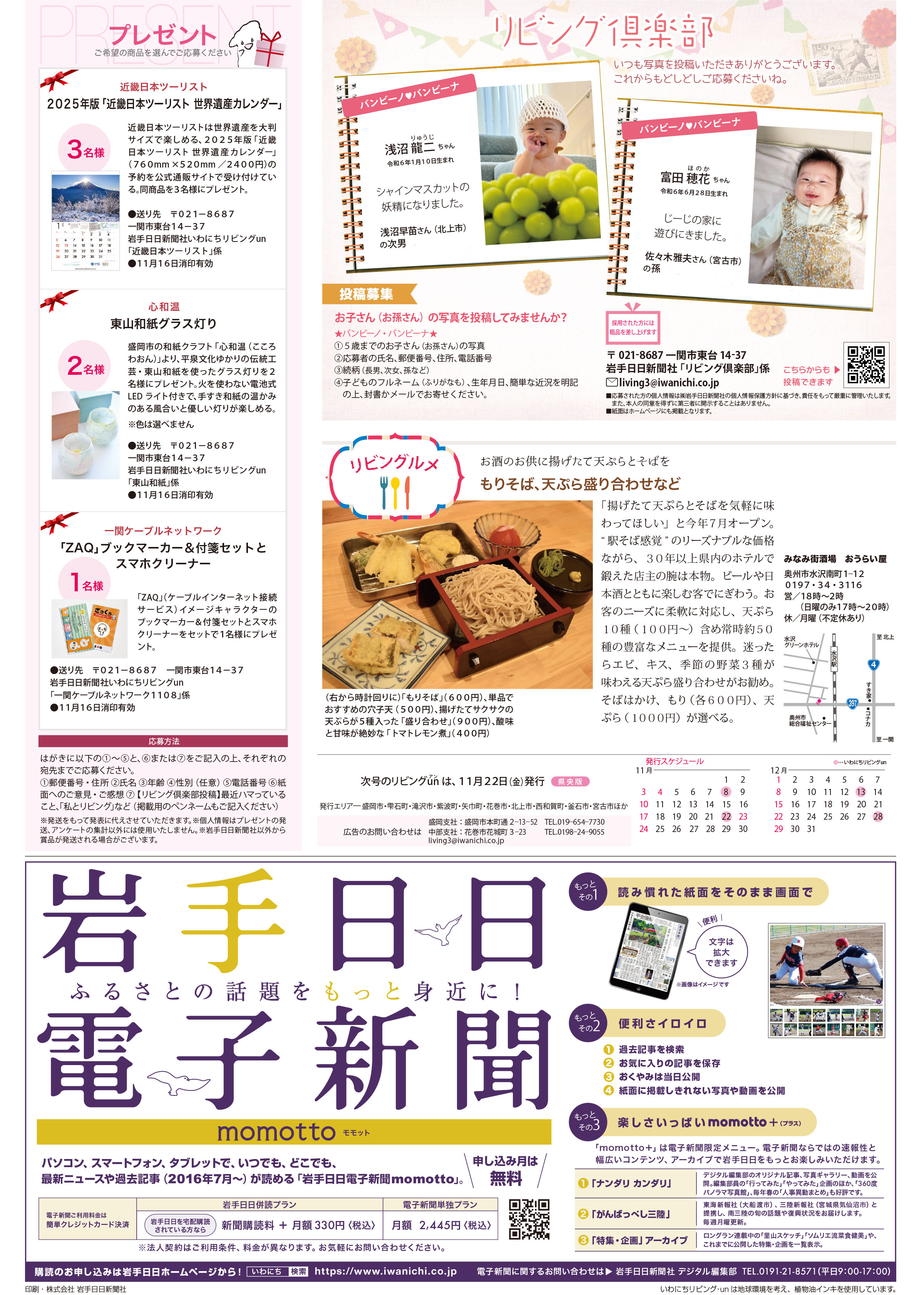 2024年11月8日号