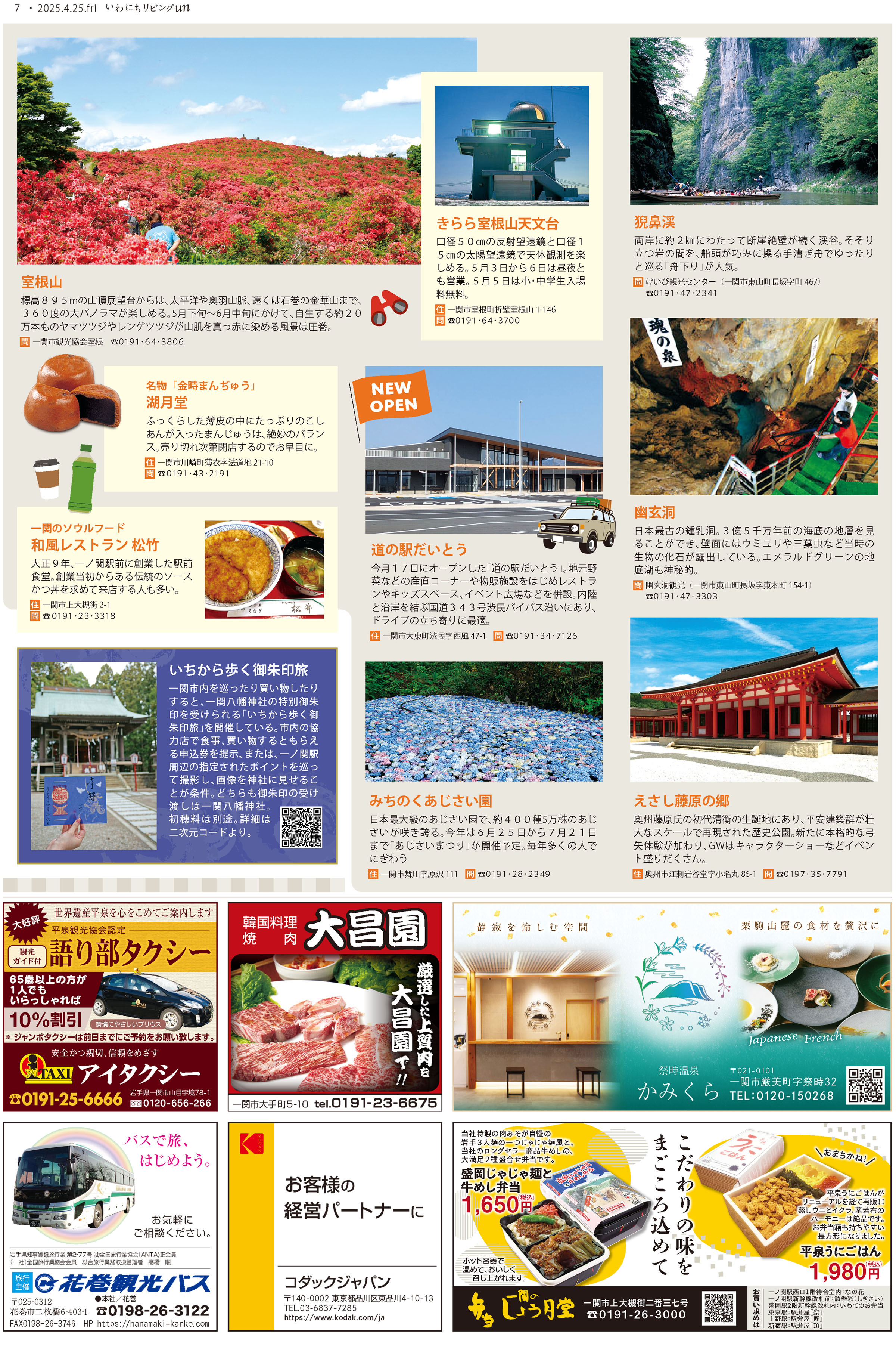2025年4月25日号