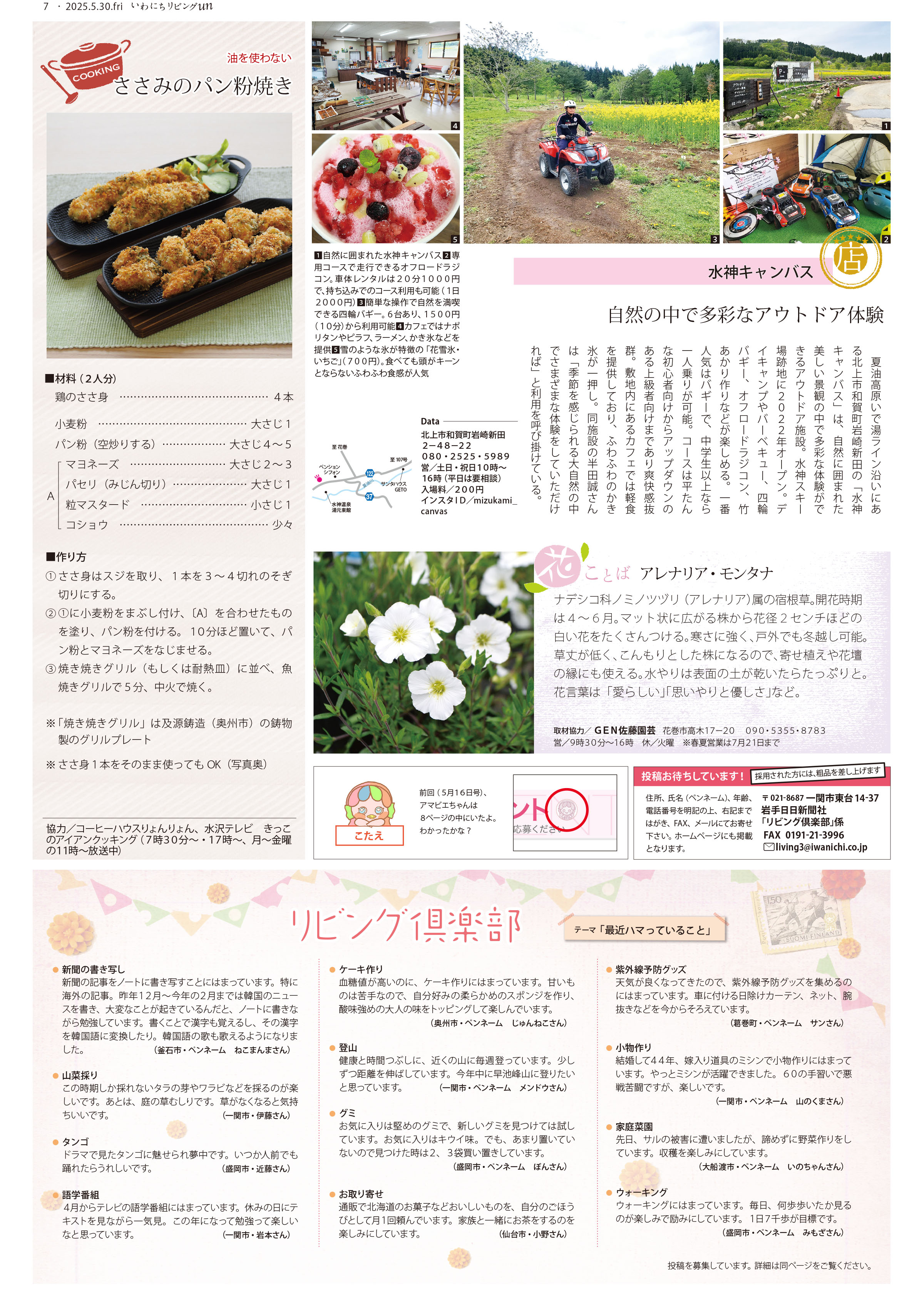 2025年5月30日号