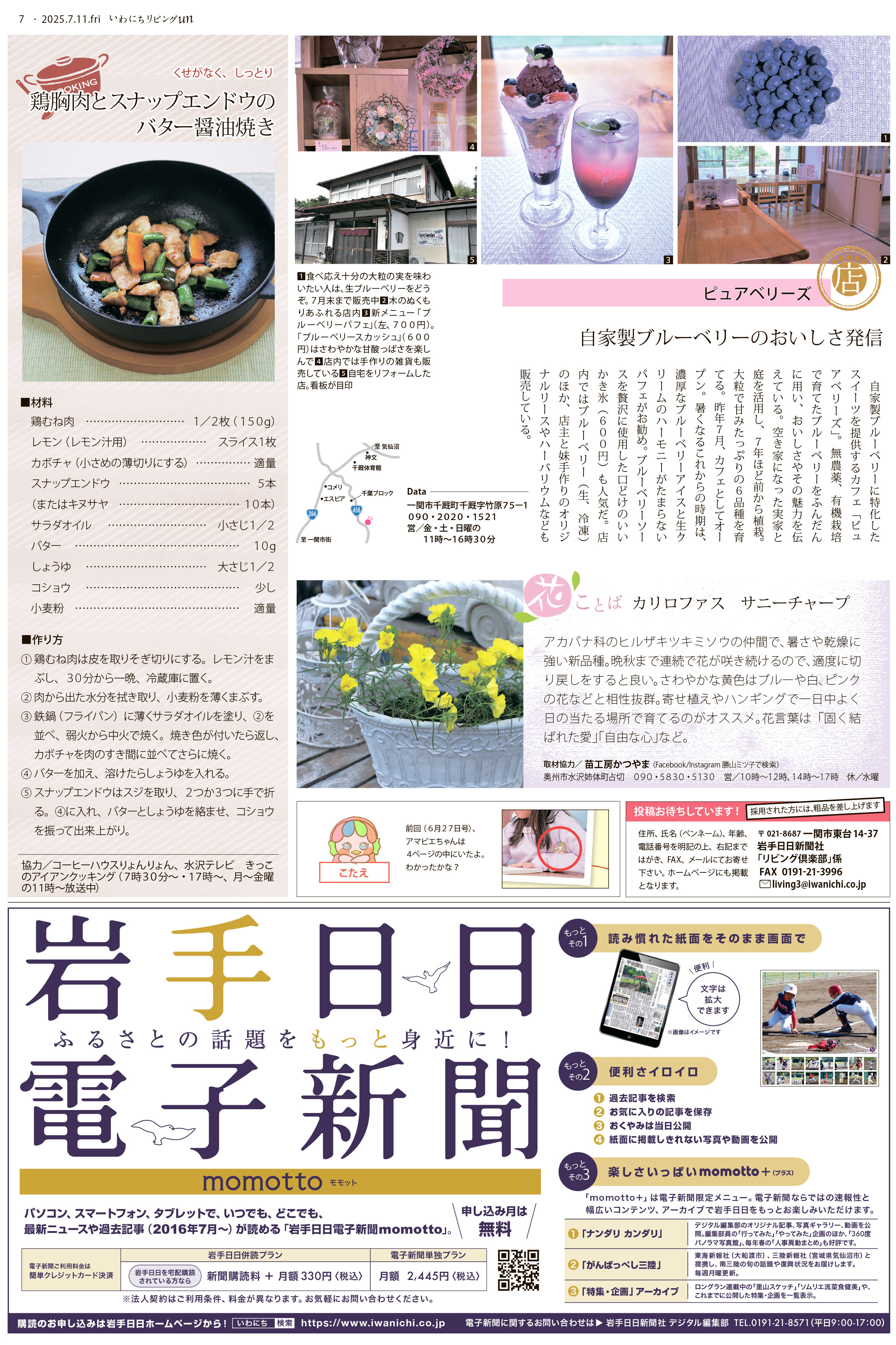 2025年7月11日号